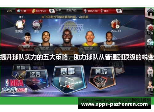 提升球队实力的五大策略，助力球队从普通到顶级的蜕变
