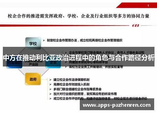 中方在推动利比亚政治进程中的角色与合作路径分析