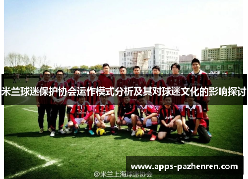 米兰球迷保护协会运作模式分析及其对球迷文化的影响探讨