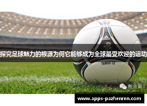 探究足球魅力的根源为何它能够成为全球最受欢迎的运动