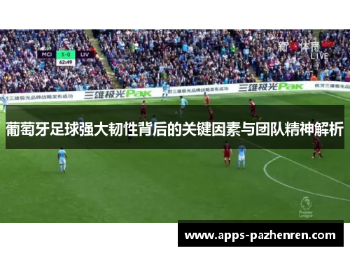 葡萄牙足球强大韧性背后的关键因素与团队精神解析