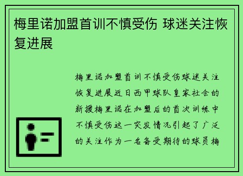 梅里诺加盟首训不慎受伤 球迷关注恢复进展
